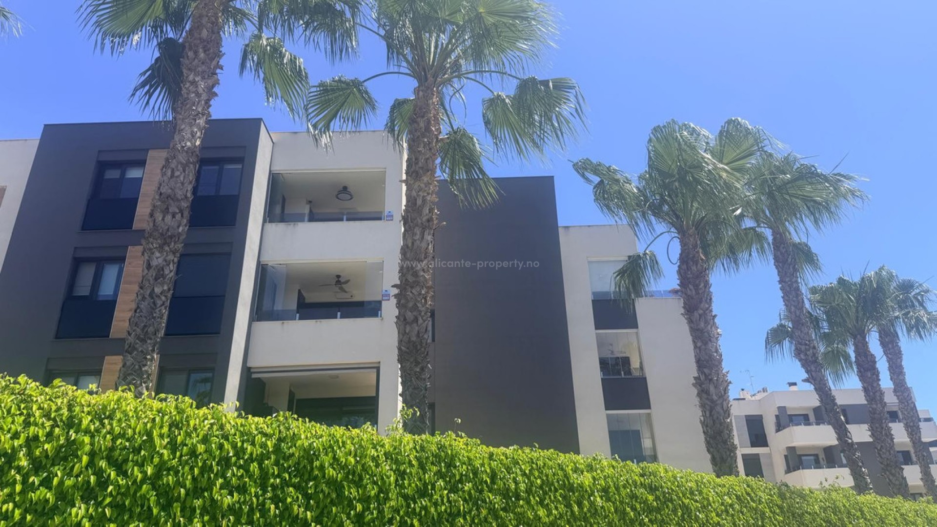 Leilighet / leilighet i Torrevieja Centro