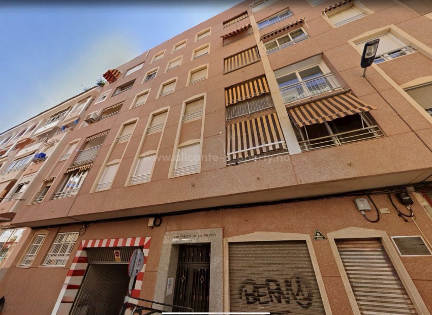 Leilighet / leilighet i Torrevieja Centro