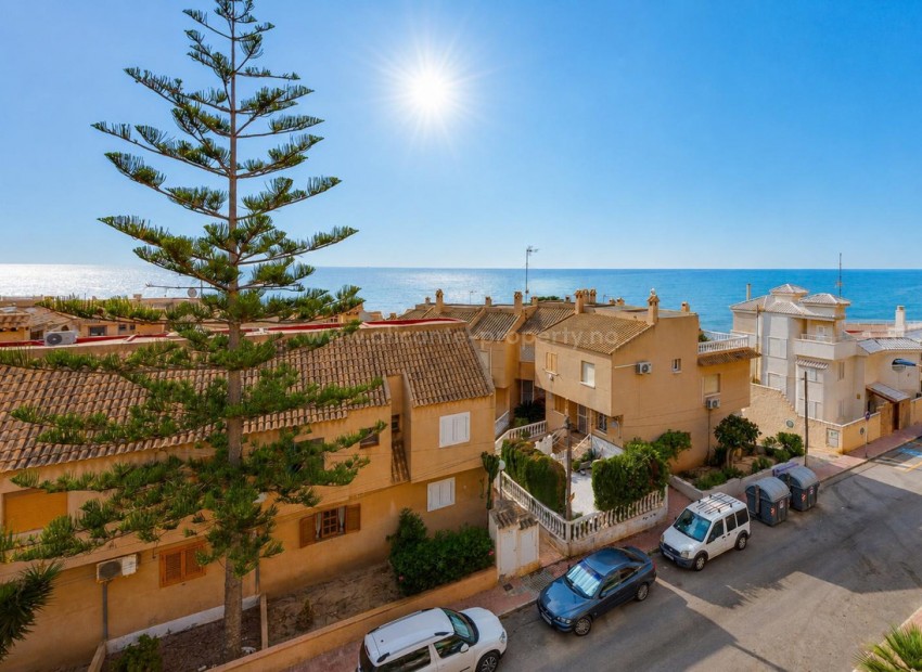 Leilighet / leilighet i Torrevieja Centro