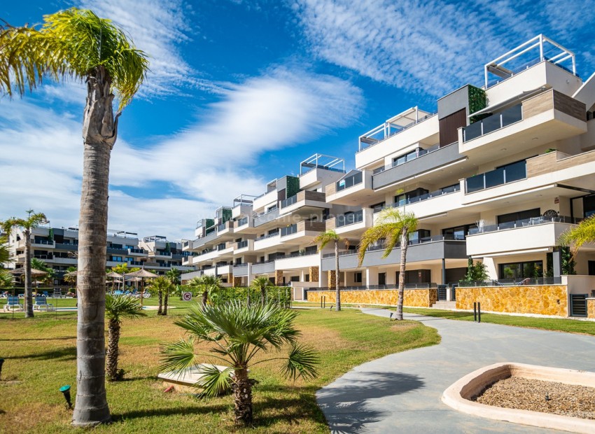 Leilighet / leilighet i Torrevieja Centro