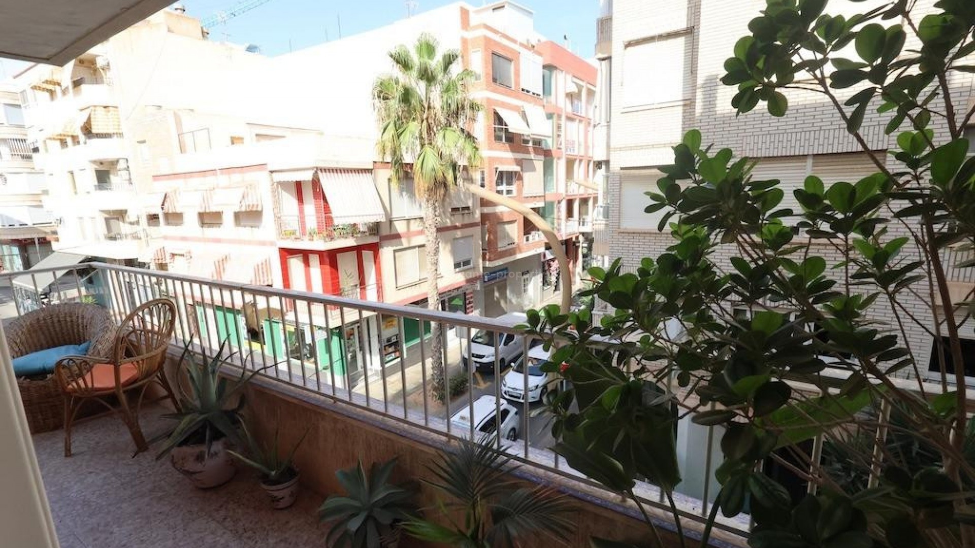 Leilighet / leilighet i Torrevieja Centro