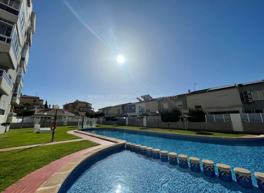 Leilighet / leilighet i Torrevieja Centro