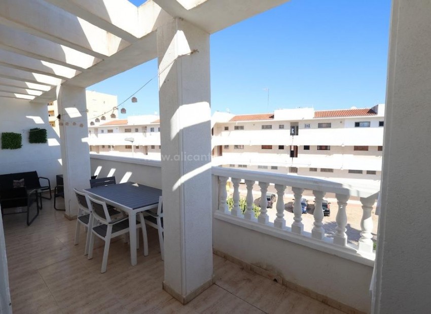 Leilighet / leilighet i Torrevieja Centro