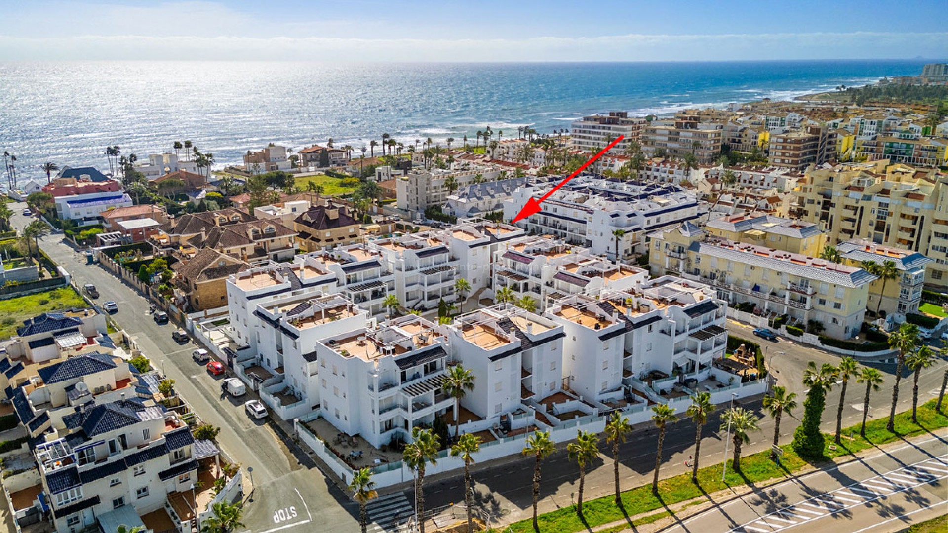 Leilighet / leilighet i Torrevieja Centro