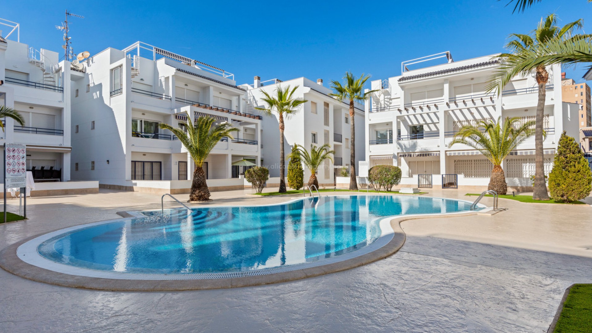 Leilighet / leilighet i Torrevieja Centro