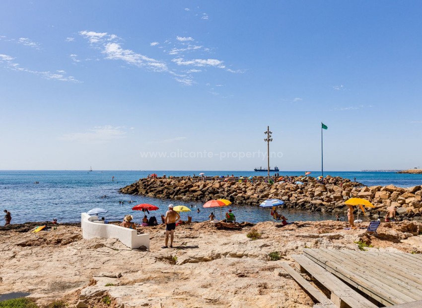 Leilighet / leilighet i Torrevieja Centro