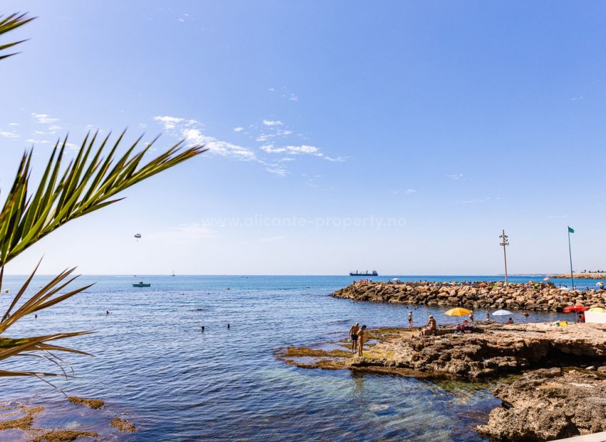 Leilighet / leilighet i Torrevieja Centro