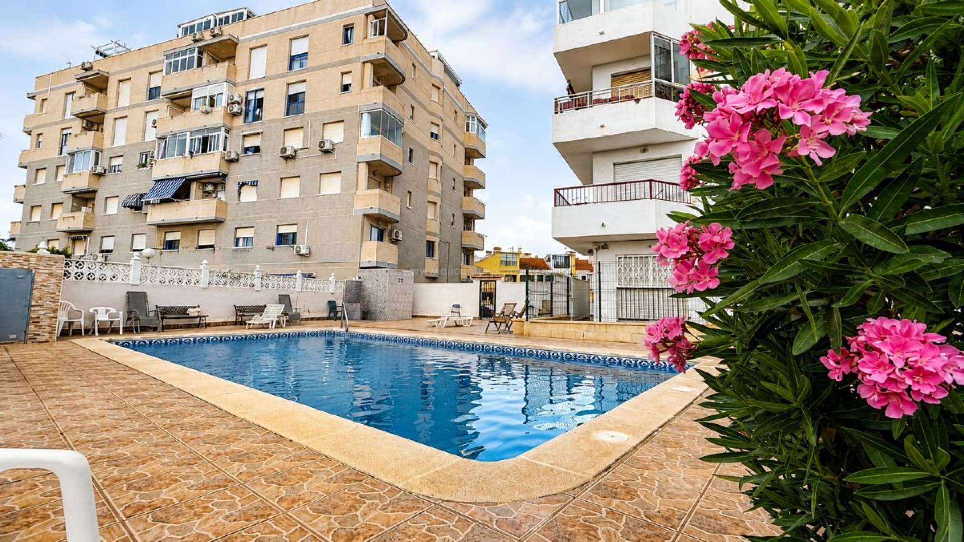 Leilighet / leilighet i Torrevieja Centro