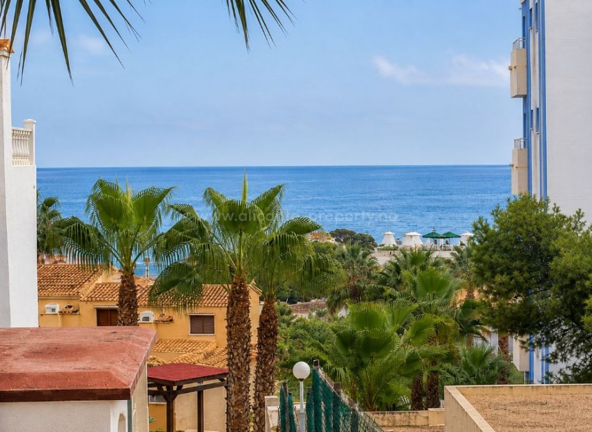 Leilighet / leilighet i Torrevieja Centro