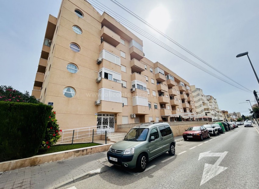 Leilighet / leilighet i Torrevieja Centro