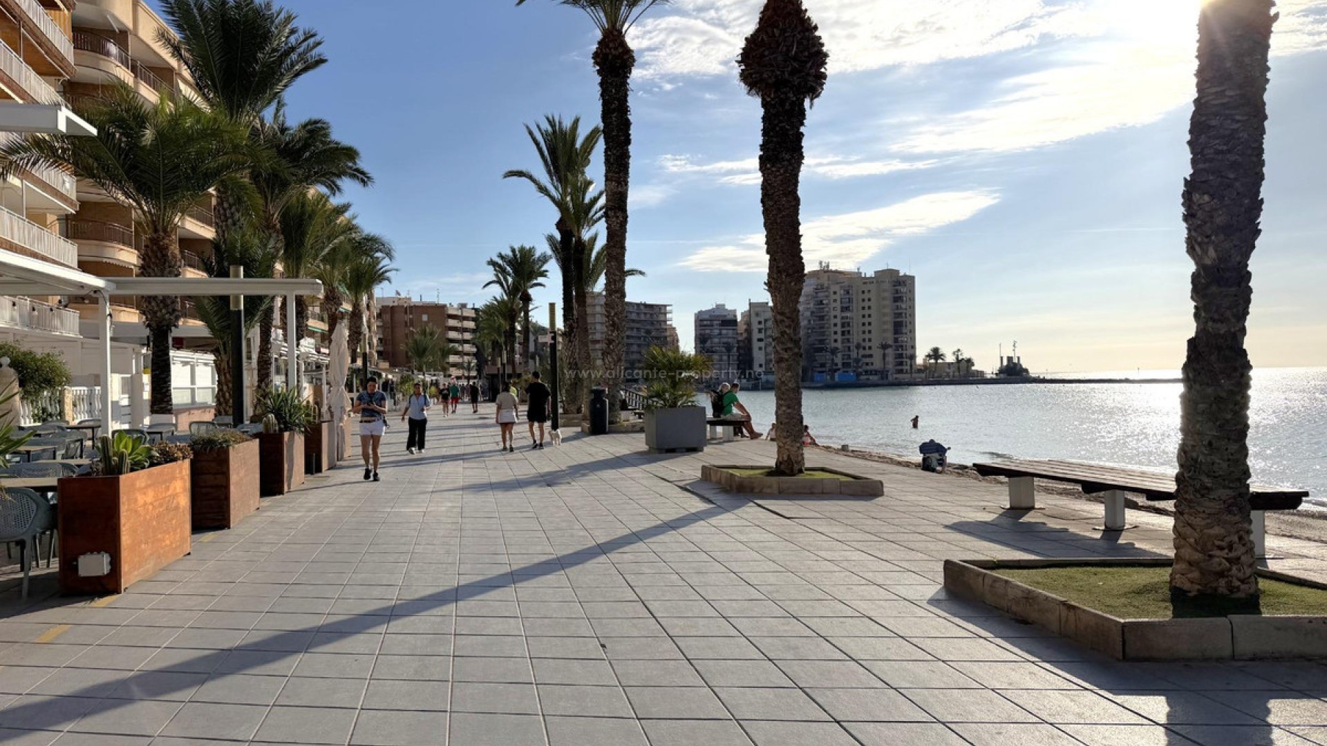 Leilighet / leilighet i Torrevieja Centro