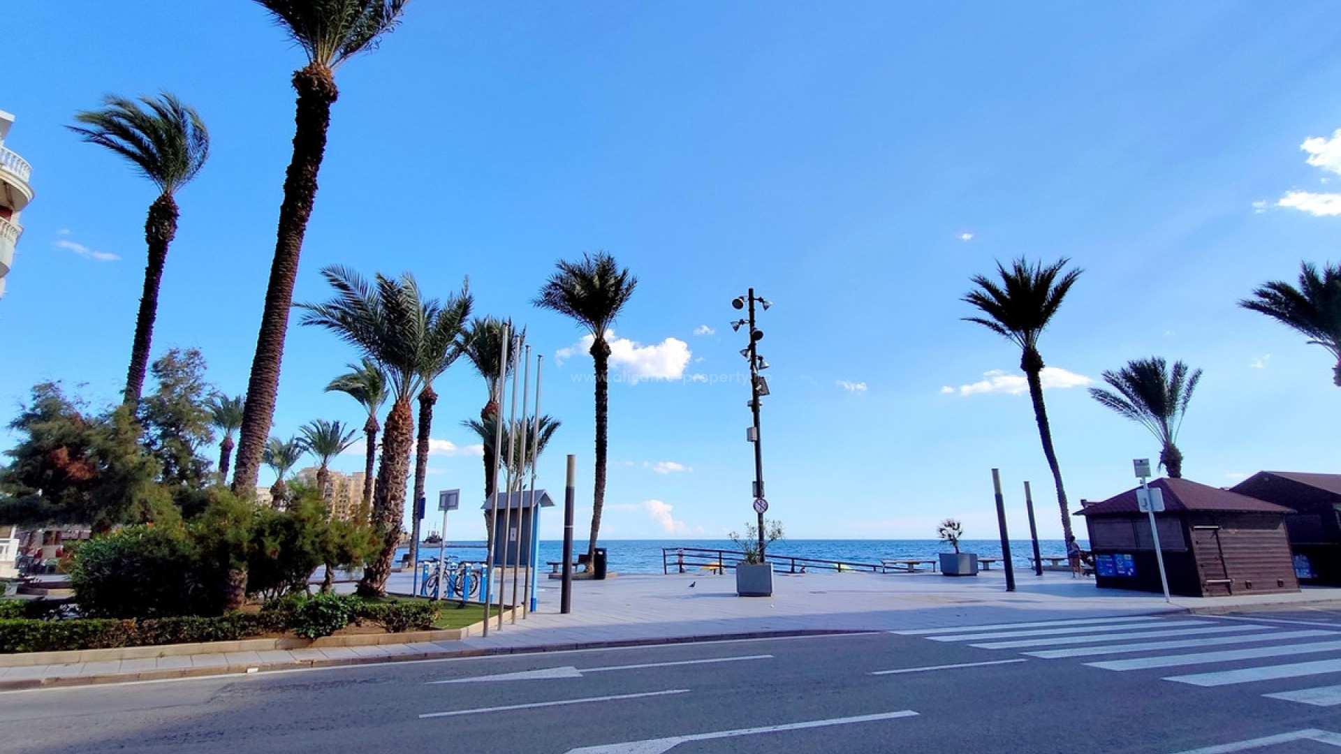 Leilighet / leilighet i Torrevieja Centro