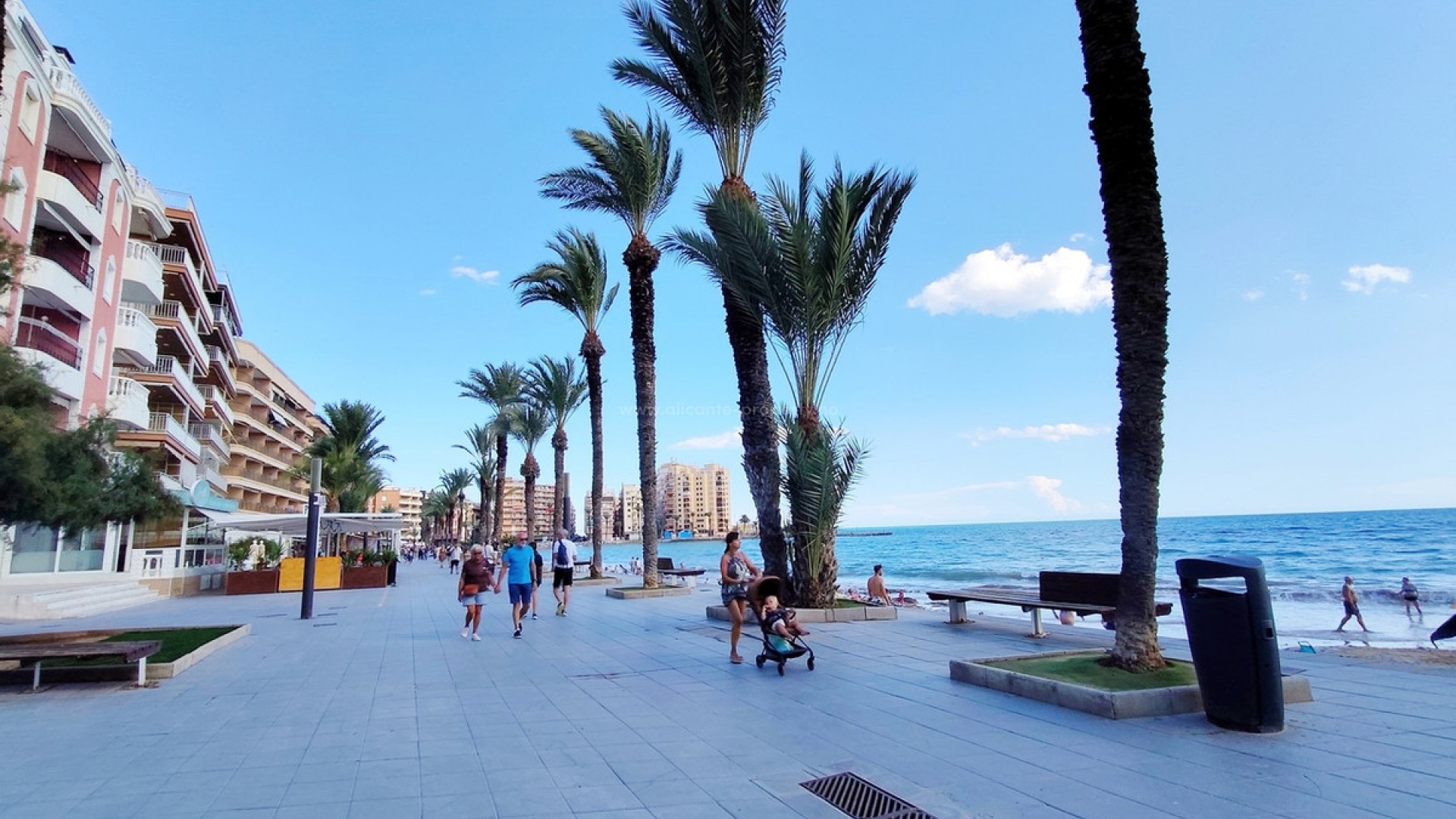 Leilighet / leilighet i Torrevieja Centro