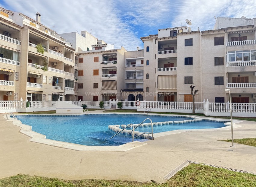 Leilighet / leilighet i Torrevieja