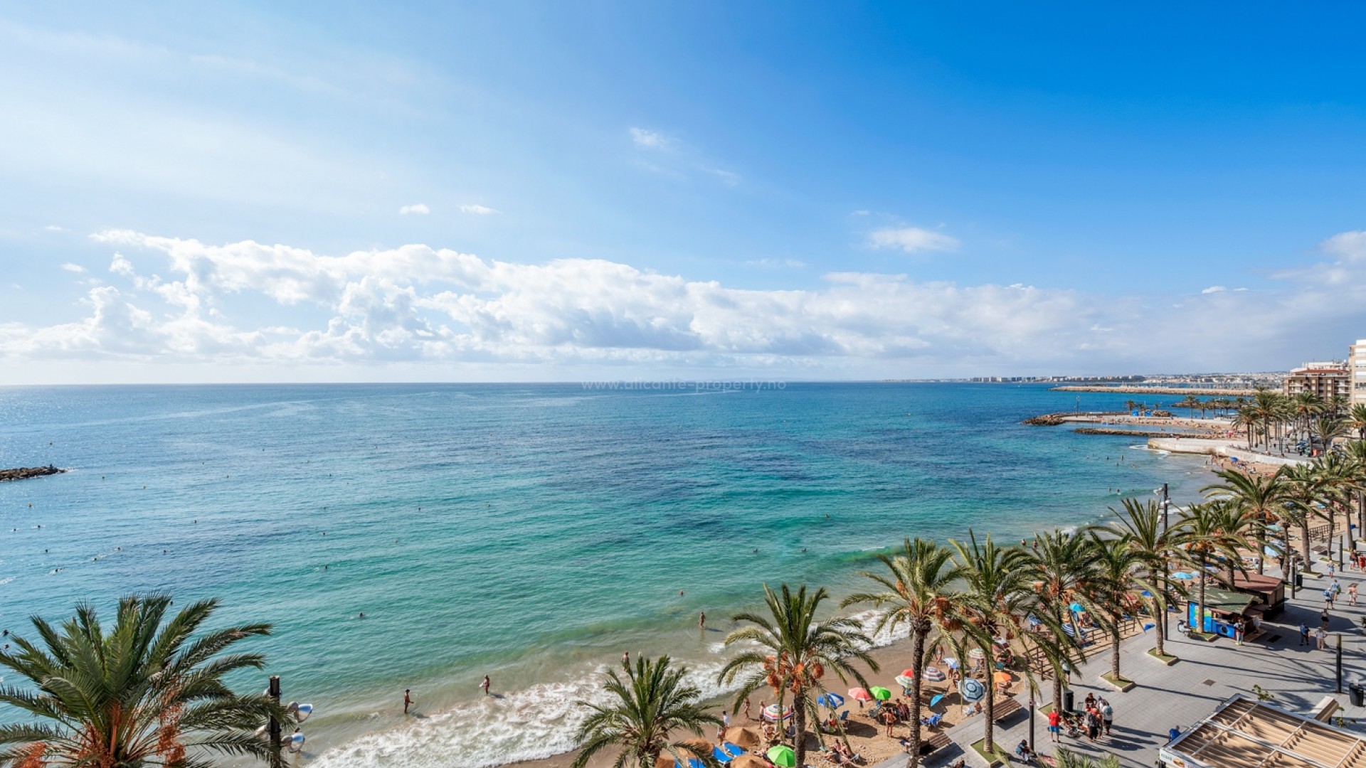 Leilighet / leilighet i Torrevieja