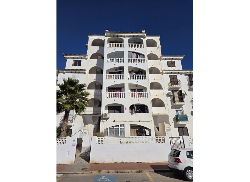 Leilighet / leilighet i Torrevieja