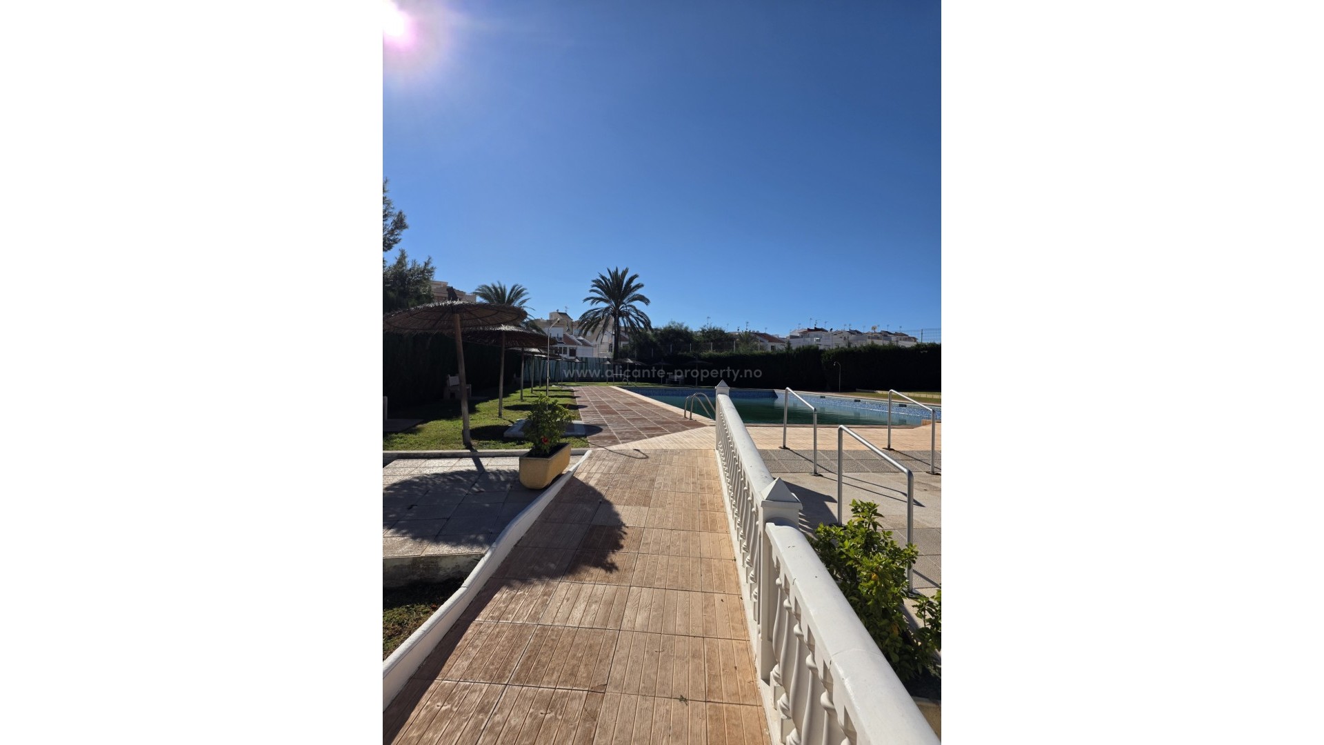 Leilighet / leilighet i Torrevieja