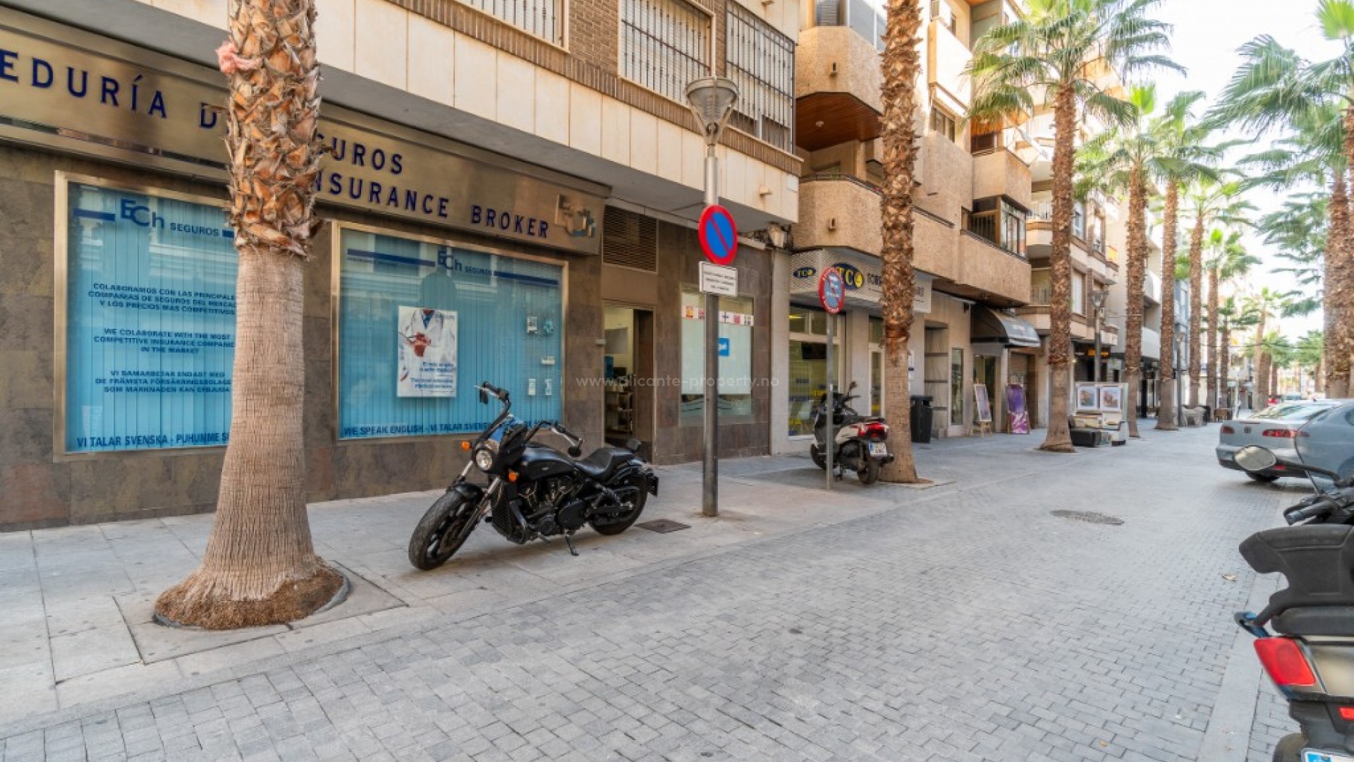 Leilighet / leilighet i Torrevieja