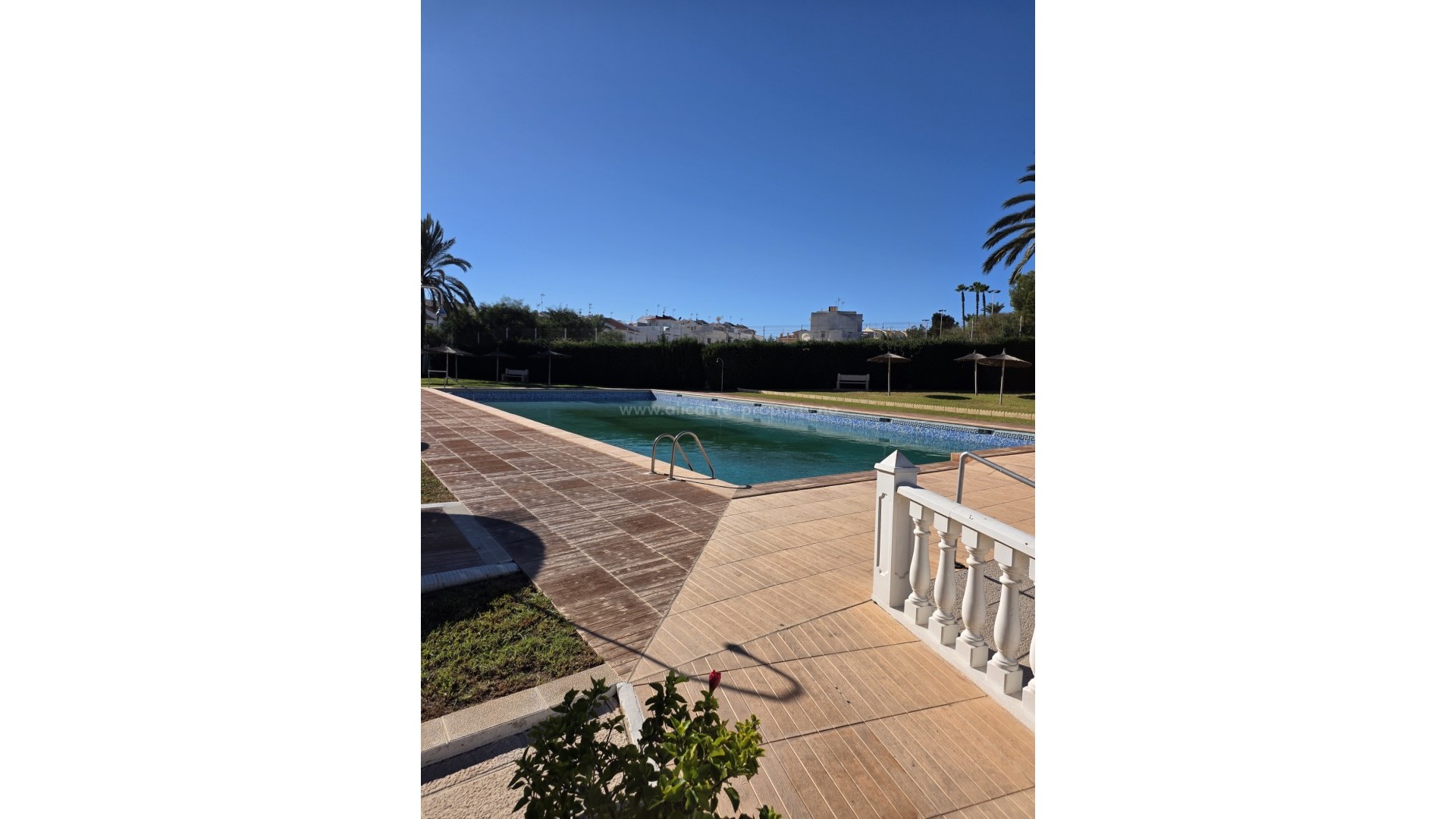 Leilighet / leilighet i Torrevieja