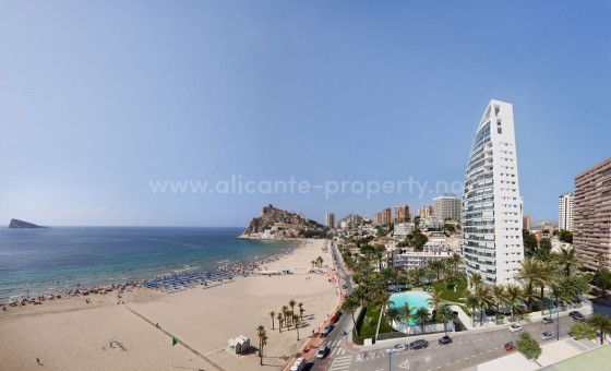 Leilighet / leilighet - Nybygg - Benidorm -
                Benidorm