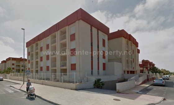 Leilighet / leilighet - Nybygg - Orihuela Costa - NBG-78942