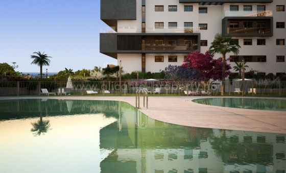 Leilighet / leilighet - Nybygg - Orihuela Costa - NBG-98461