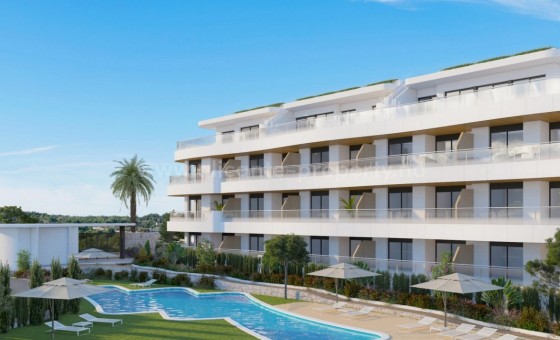 Leilighet / leilighet - Nybygg - Orihuela Costa - Playa Flamenca