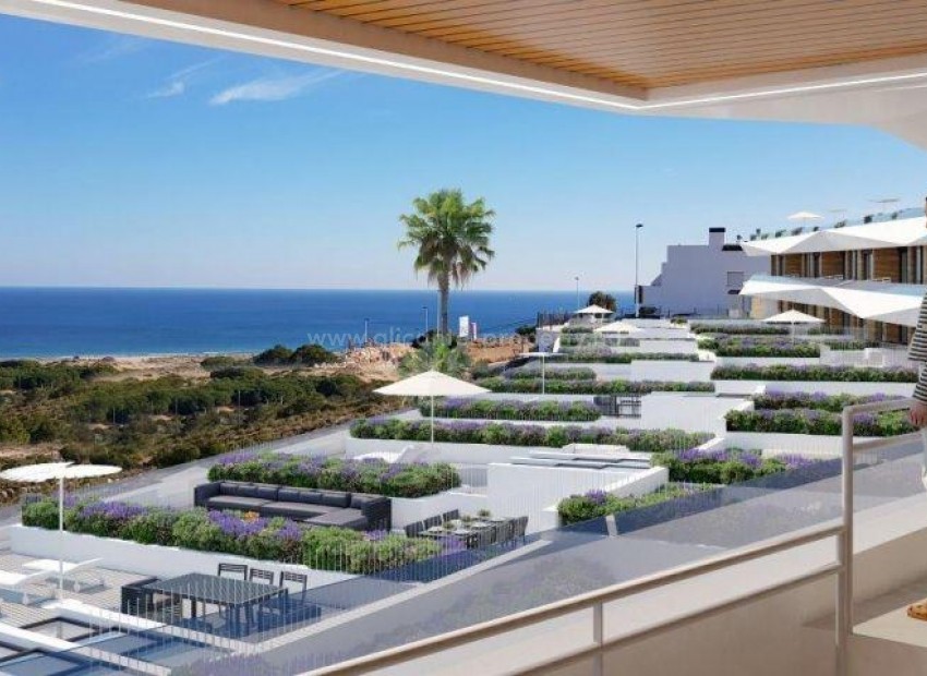 Leiligheter med 2/3 soverom i Gran Alacant i Santa Pola med havutsikt over Carabassi-beach, store terrasse og privat solarium, felles bassenger, jacuzzi