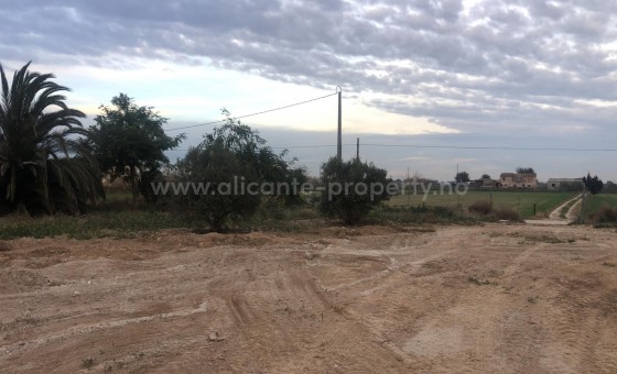 Parcela / Terreno - Reventa - Catral - BR-97018