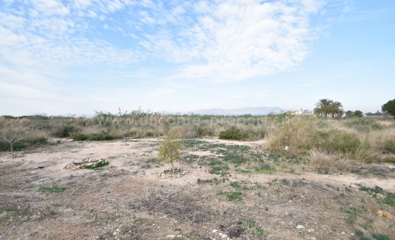 Parcela / Terreno - Reventa - Catral - BR-98781