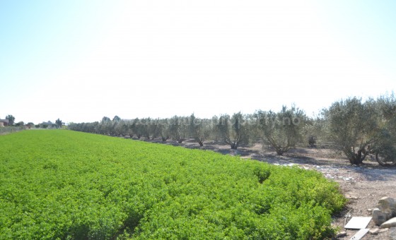 Parcela / Terreno - Reventa - Dolores - BR-64717