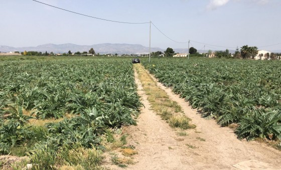 Parcela / Terreno - Reventa - Dolores - BR-66728