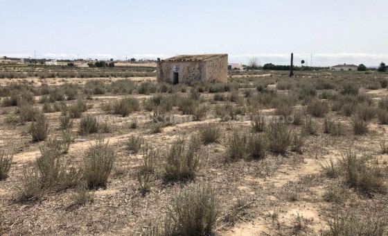 Parcela / Terreno - Reventa - Elche - BR-32585