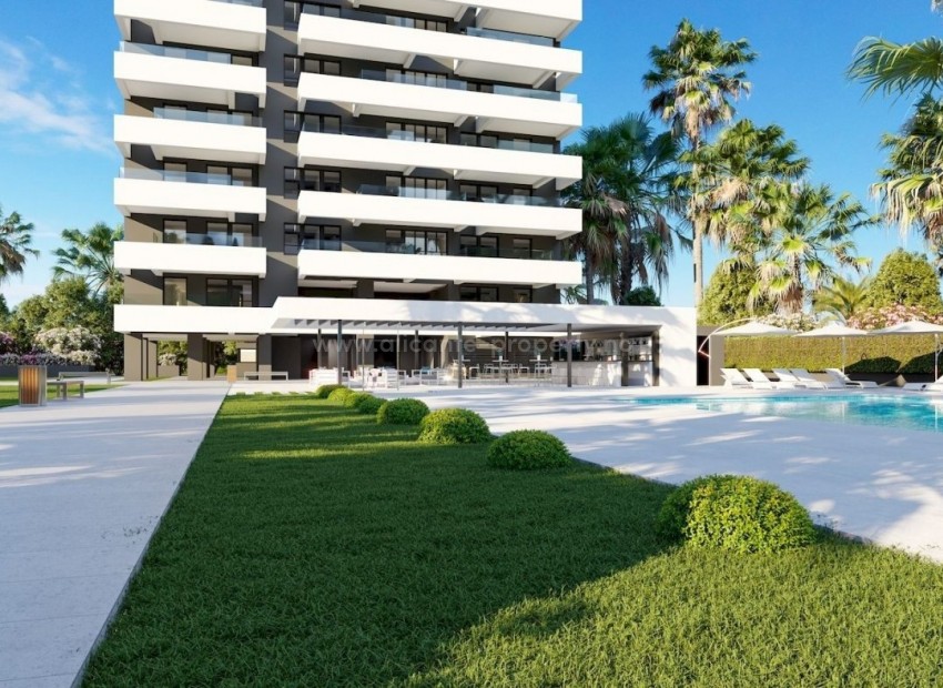 Penthouse in Calpe, 2/3 bedrooms, 3 min walk to Arenal-Bol beach, roof terrace. Common area with gardens, swimming pool, paddle tennis court