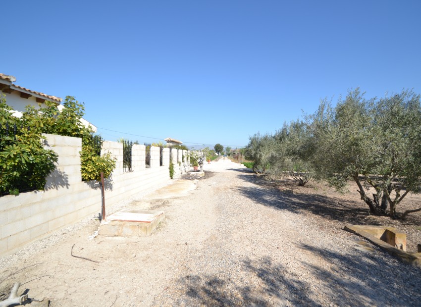 Plot / Land in Dolores