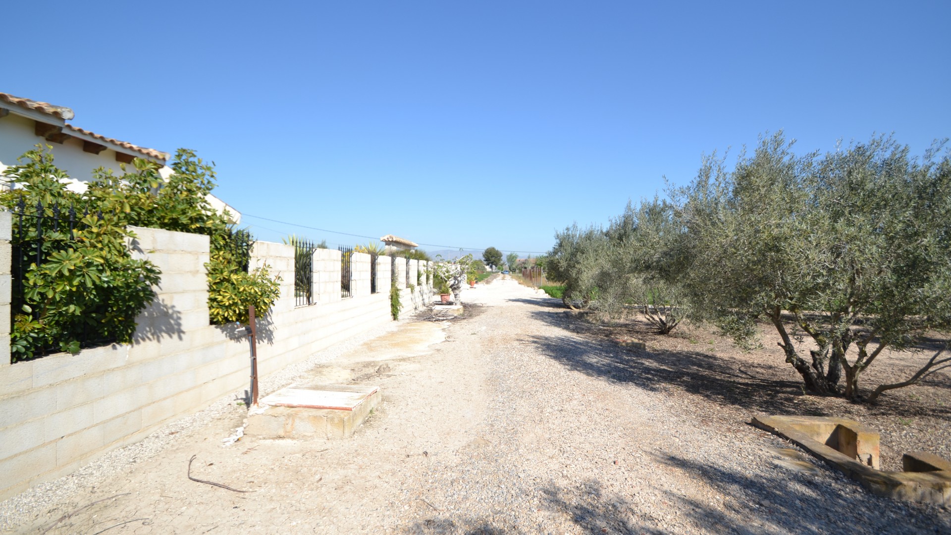 Plot / Land in Dolores