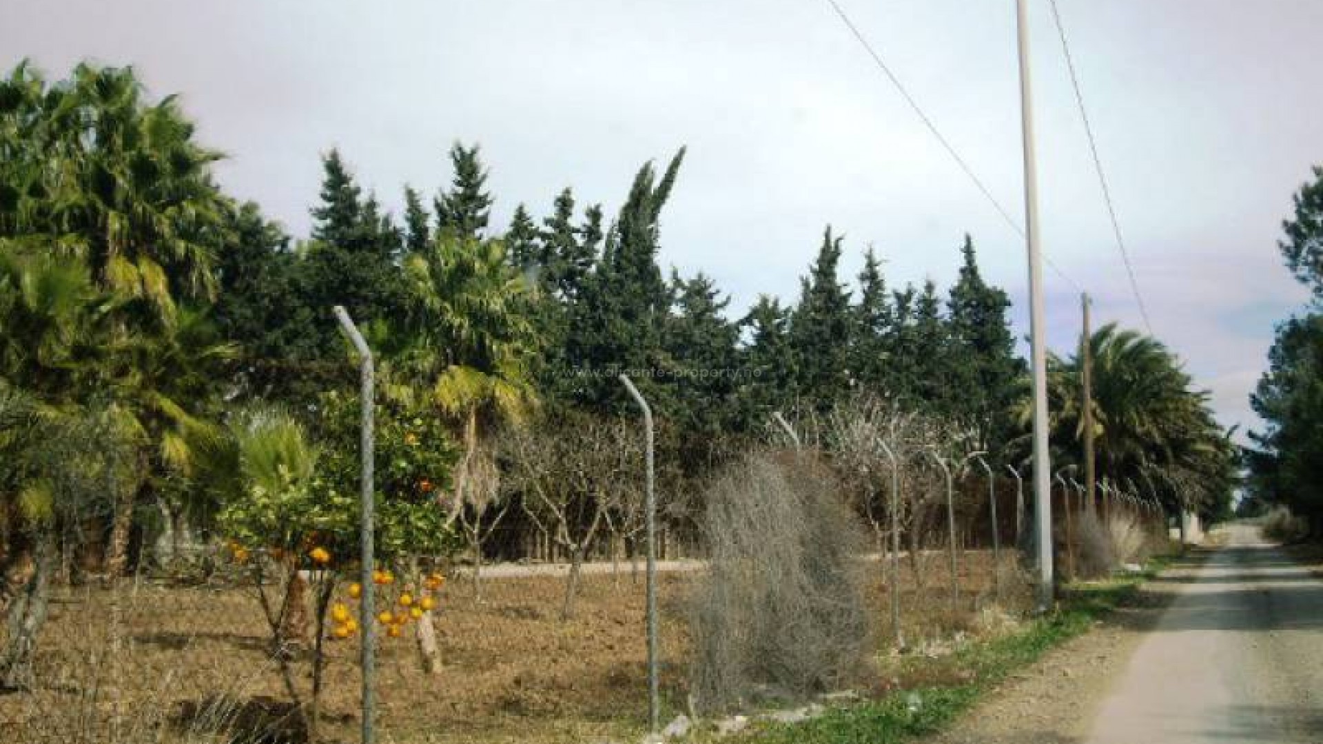 Plot / Land in Los Alcazares