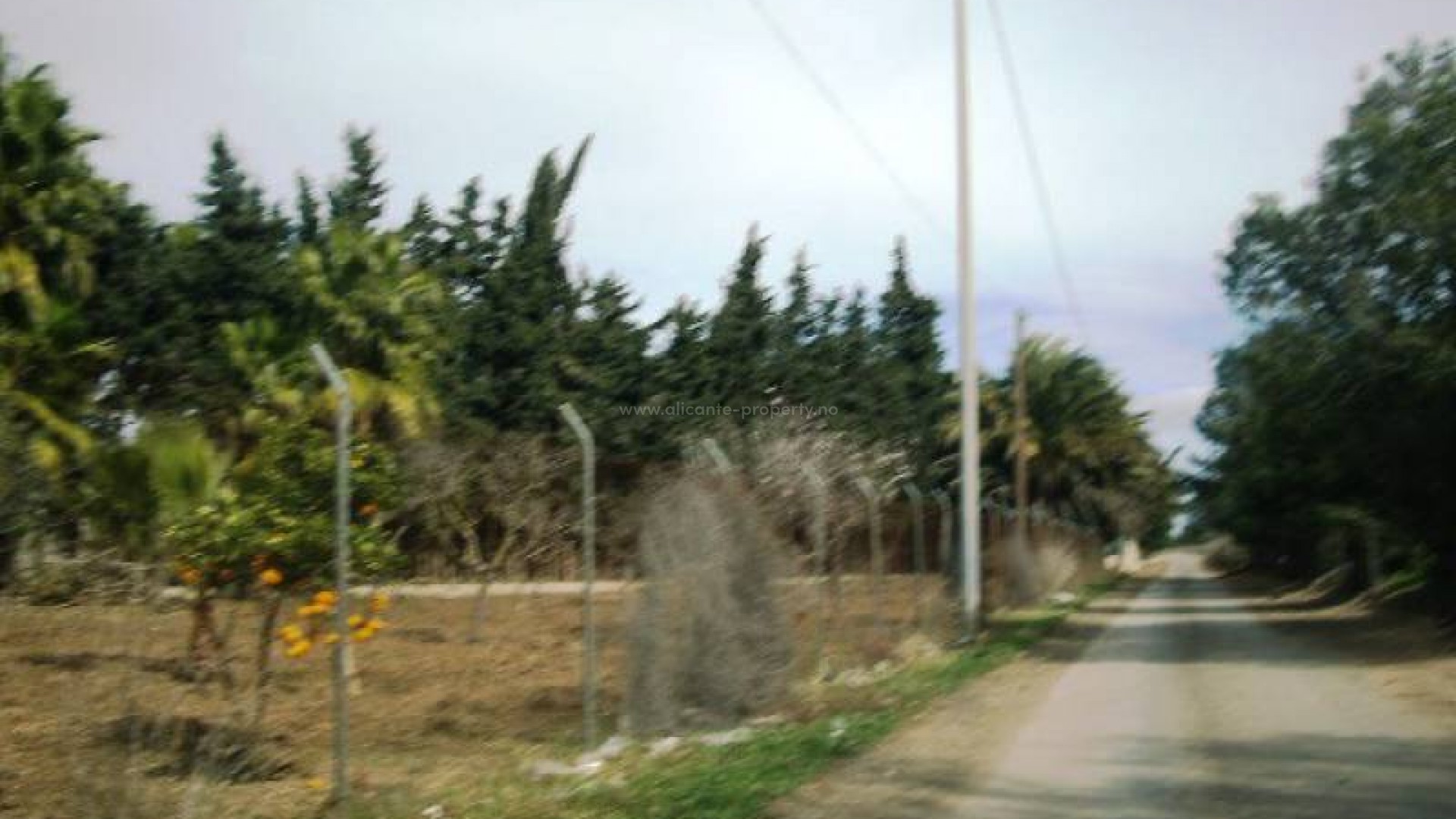 Plot / Land in Los Alcazares
