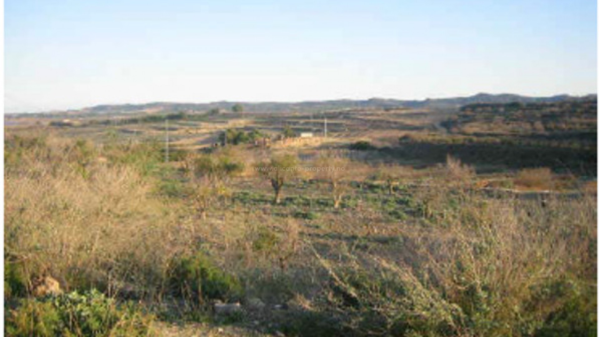 Plot / Land in Torremendo