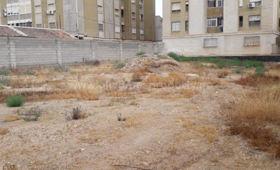 Plot / Land - Resale - Albatera - BR-42720