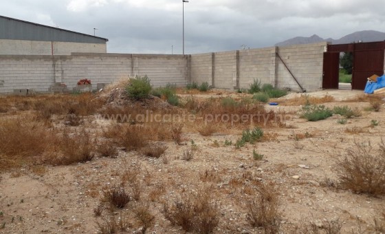 Plot / Land - Resale - Albatera - BR-71833