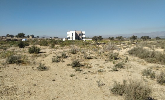 Plot / Land - Resale - Elche - BR-59432