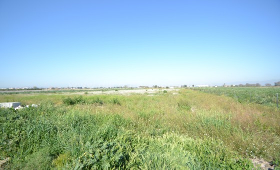 Plot / Land - Resale - San Fulgencio - BR-96435
