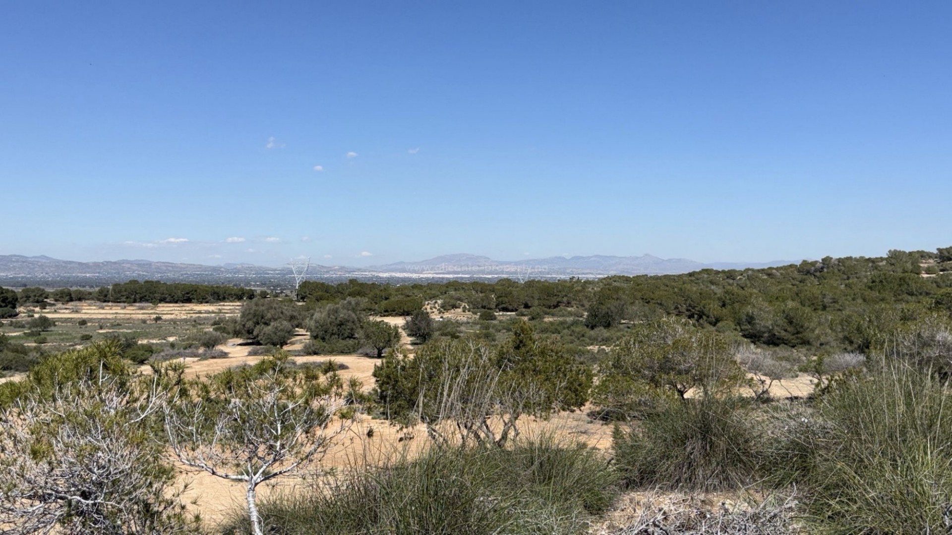Tierra en La Marina