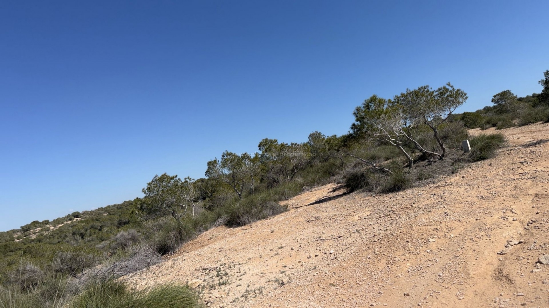 Tierra en La Marina