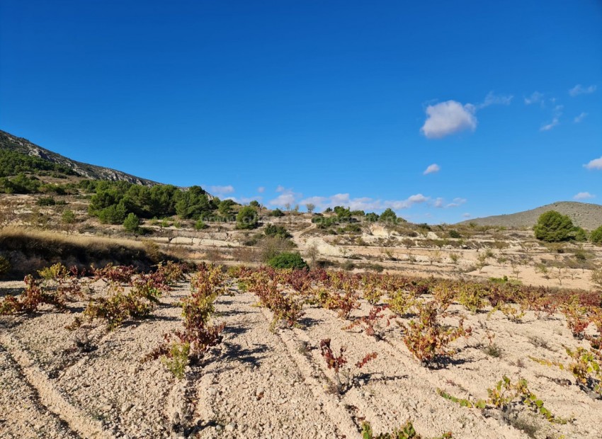 Tierra en La Romana Centro