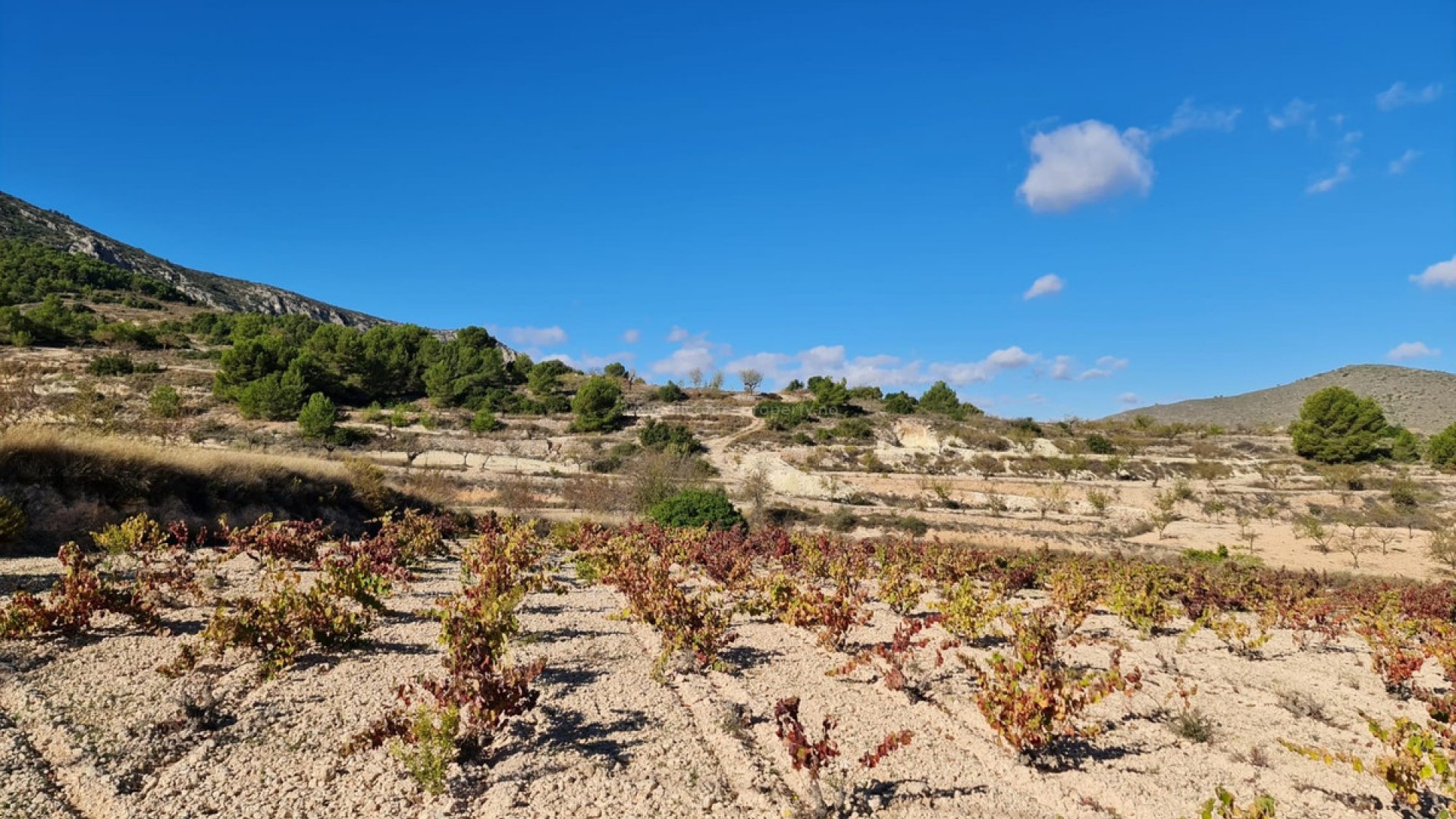 Tierra en La Romana Centro