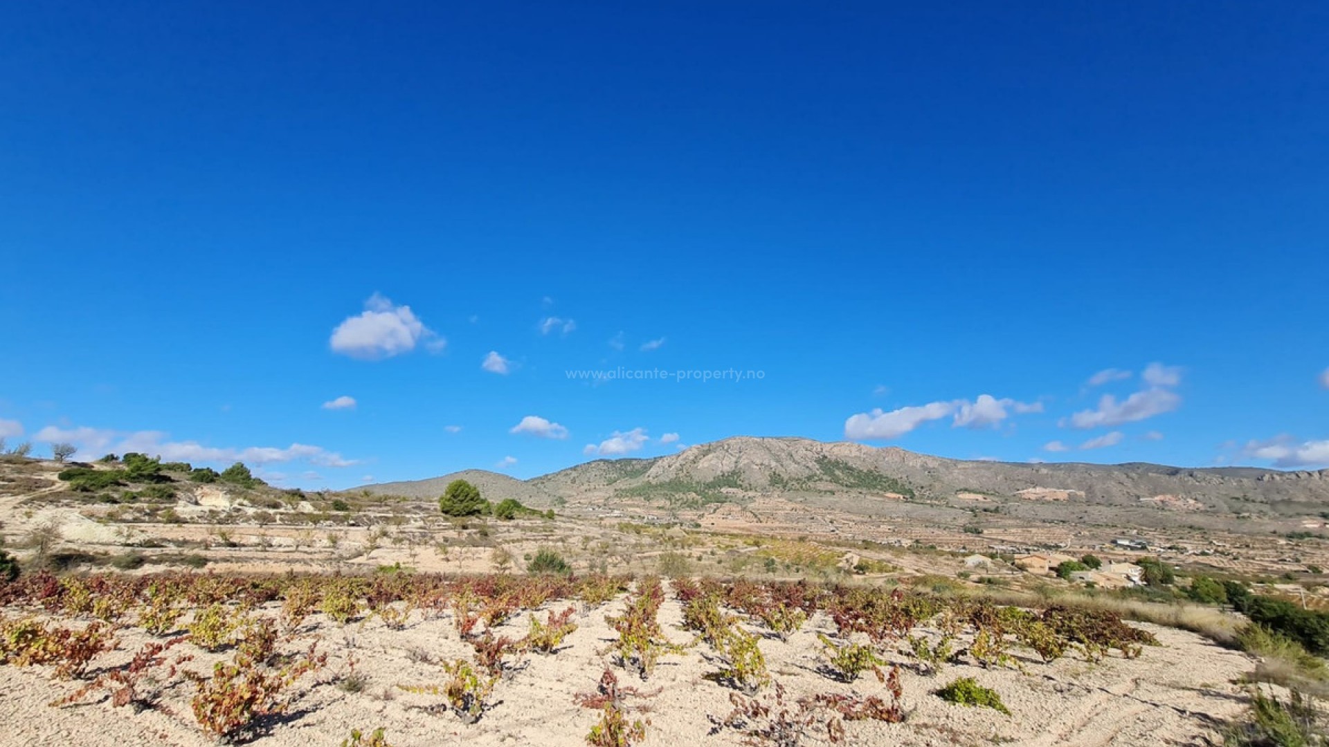 Tierra en La Romana Centro