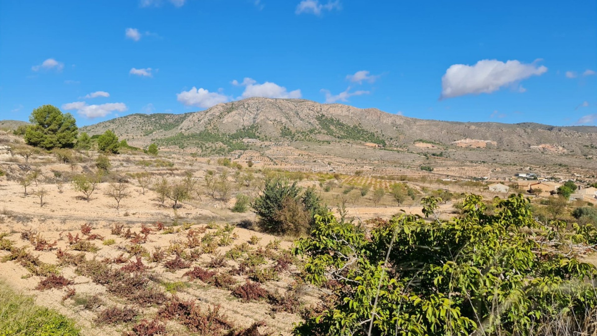 Tierra en La Romana Centro