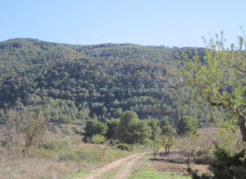 Tierra en Villena Centro